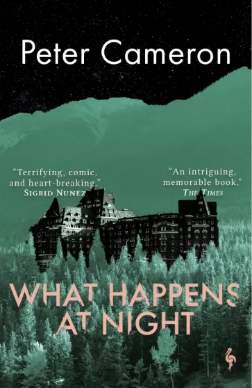 Peter Cameron - What Happens at Night Peter Cameron - What Happens at Night обложка книги
