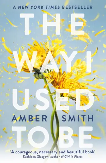 Amber Smith - The Way I Used to Be Amber Smith - The Way I Used to Be обложка книги