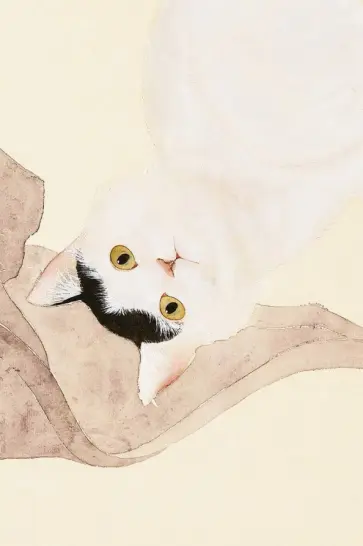 Котик по кличке Миндаль 1, 18 листов обложка книги