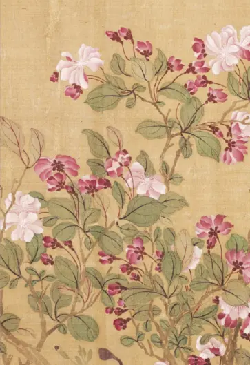 Сто цветов. Фрагмент "Розовый цвет", 18 листов обложка книги