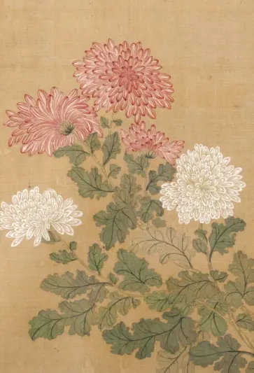 Сто цветов. Фрагмент "Хризантемы", 18 листов обложка книги