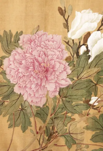 Сто цветов. Фрагмент "Розовый пион", 18 листов обложка книги