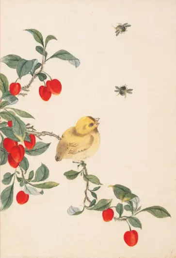 Птицы, насекомые и цветы. Воробей, 18 листов обложка книги