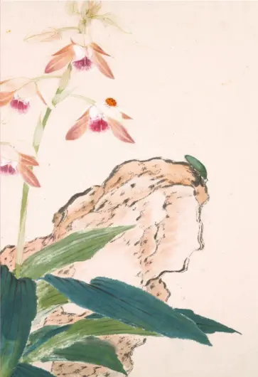 Насекомые и цветы. Божья коровка, 18 листов обложка книги