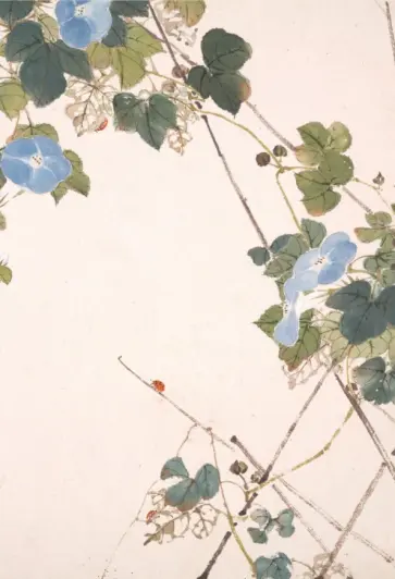 Насекомые и цветы. Вьюнок, 18 листов обложка книги