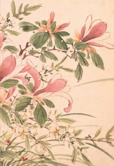 Садовые цветы. Барбарис, 18 листов обложка книги