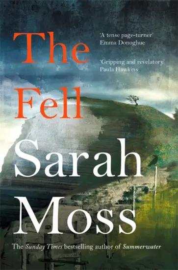Sarah Moss - The Fell обложка книги
