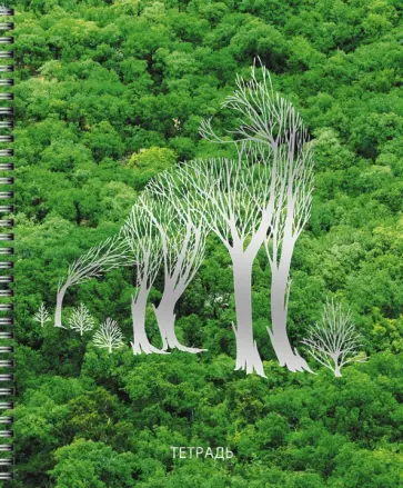 Тетрадь Тайна леса, А5, 80 листов, клетка обложка книги