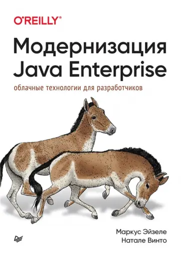 Эйзеле, Винто - Модернизация Java Enterprise. Облачные технологии для разработчиков обложка книги