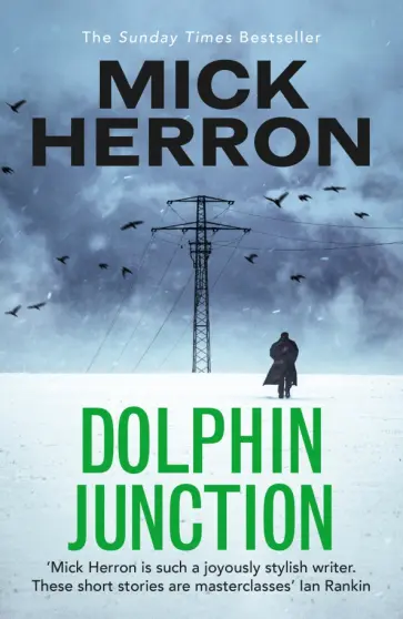Mick Herron - Dolphin Junction Mick Herron - Dolphin Junction обложка книги