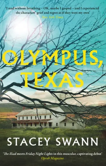 Stacey Swann - Olympus, Texas обложка книги