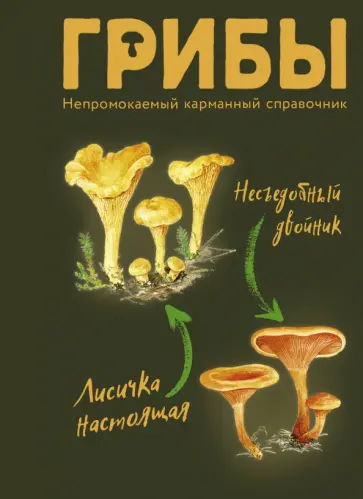 Мария Сергеева - Грибы. Непромокаемый карманный справочник Мария Сергеева - Грибы. Непромокаемый карманный справочник обложка книги