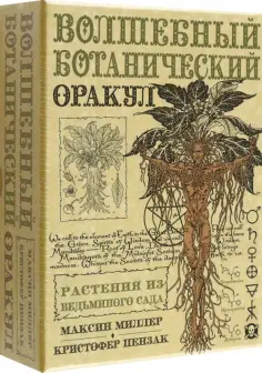 Оракул
