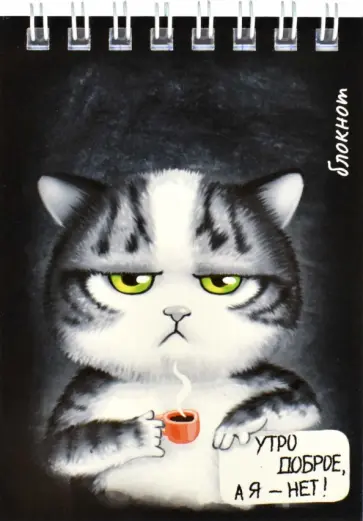 Блокнот Грустный кот, А7, 40 листов, клетка обложка книги