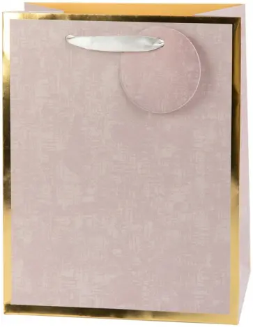 Пакет подарочный Bass 04 обложка книги