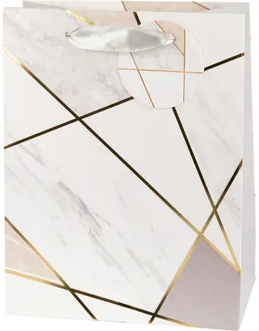 Пакет подарочный Bass 05 обложка книги