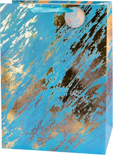 Пакет подарочный Basxl 02 обложка книги