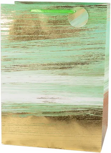 Пакет подарочный Basxl 03 обложка книги