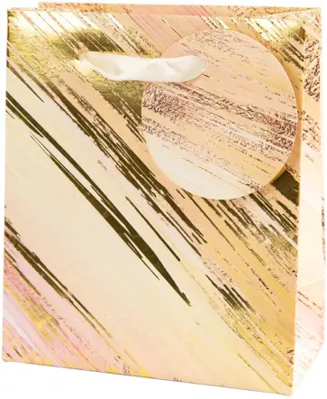 Пакет подарочный Basxs 04 обложка книги