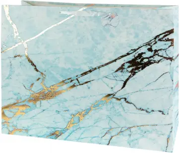 Пакет подарочный Basxxl 01 обложка книги