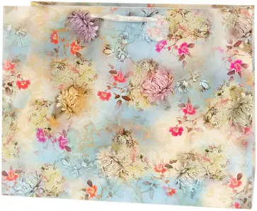 Пакет подарочный Basxxl 02 обложка книги