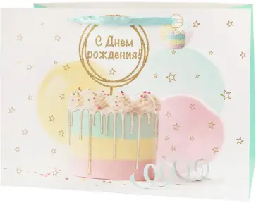 Пакет подарочный Basxxl 01 обложка книги