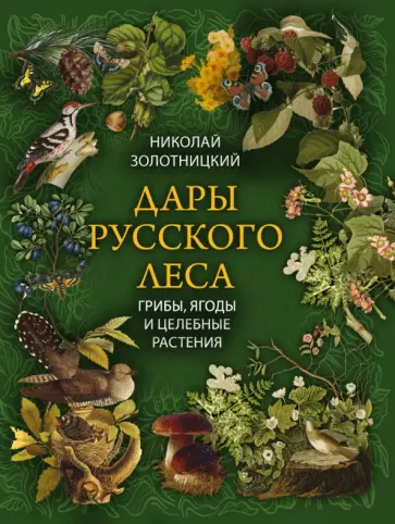 Николай Золотницкий - Дары русского леса. Грибы, ягоды и целительные растения Николай Золотницкий - Дары русского леса. Грибы, ягоды и целительные растения обложка книги