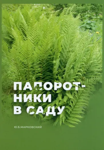 Юрий Марковский - Папоротники в саду Юрий Марковский - Папоротники в саду обложка книги
