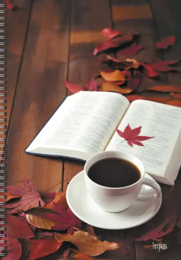 Тетради для конспектов Уютный натюрморт, А4, 80 листов, линия обложка книги