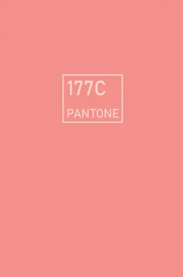 Евротетрадь Персиковый крем, А5+, 96 листов, линия обложка книги