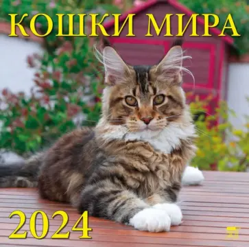 Календарь на 2024 год. Кошки мира обложка книги