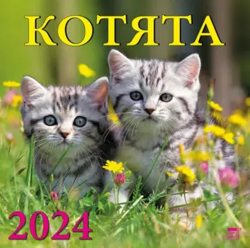 Календарь на 2024 год. Котята обложка книги