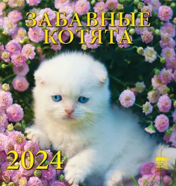 Календарь на 2024 год. Забавные котята обложка книги