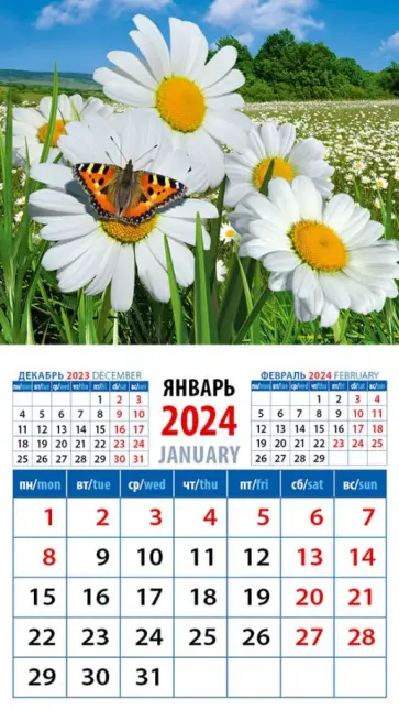 Календарь на 2024 год. Ромашки с бабочкой Календарь на 2024 год. Ромашки с бабочкой обложка книги