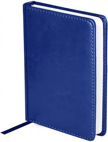 Ежедневник недатированный Nebraska, А6, 136 листов, синий обложка книги