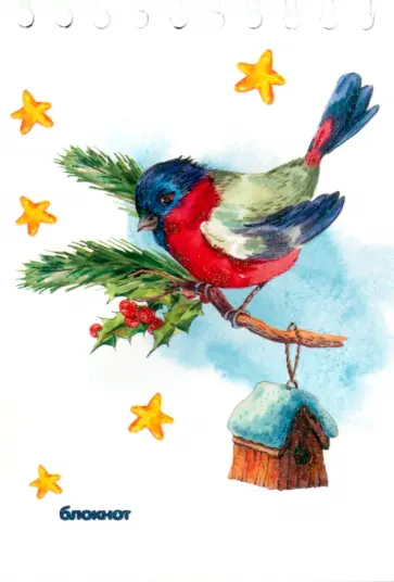 Блокнот Снегирь, А6, 48 листов, клетка обложка книги