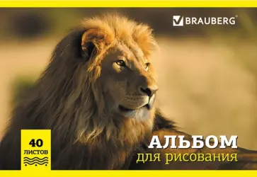 Альбом для рисования Дикие животные, А4, 40 листов, в ассортименте обложка книги