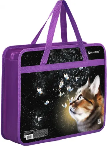 Папка с ручками Dream cat, А4 обложка книги