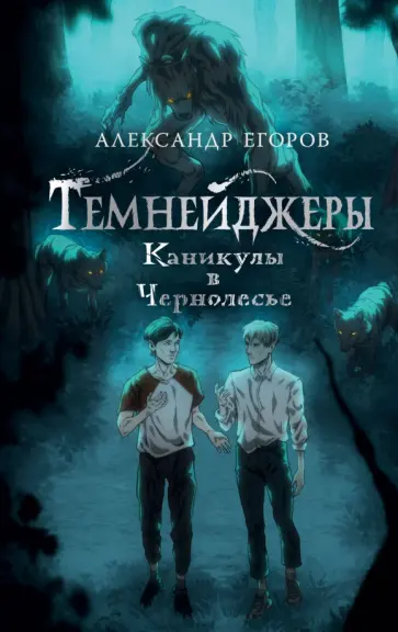 Александр Егоров - Темнейджеры. Каникулы в Чернолесье Александр Егоров - Темнейджеры. Каникулы в Чернолесье обложка книги
