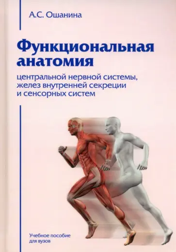 Анна Ошанина - Функциональная анатомия центральной нервной системы, желез внутренней секреции и сенсорных систем Анна Ошанина - Функциональная анатомия центральной нервной системы, желез внутренней секреции и сенсорных систем обложка книги