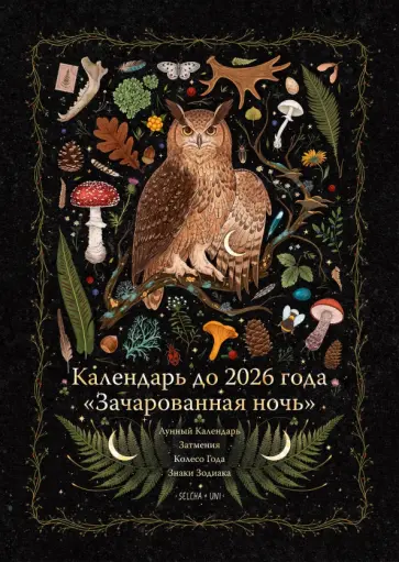 Диана Прасковина - Календарь до 2026 года Зачарованная ночь. Сова обложка книги
