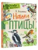 Миниатюра 2