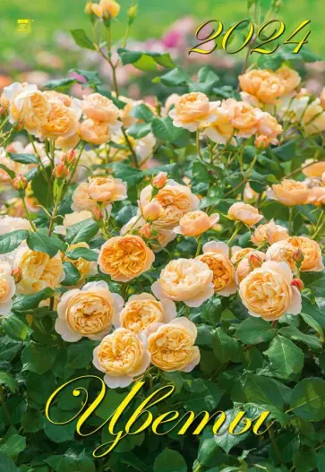 Календарь на 2024 год Цветы Календарь на 2024 год Цветы обложка книги