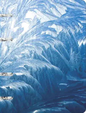 Тетрадь на кольцах Иней, 100 листов, клетка Тетрадь на кольцах Иней, 100 листов, клетка обложка книги