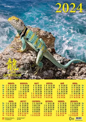 Календарь на 2024 год Год дракона обложка книги