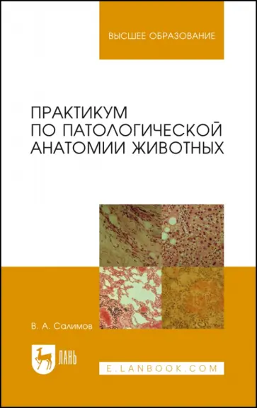 Виктор Салимов - Практикум по патологической анатомии животных. Учебное пособие для вузов Виктор Салимов - Практикум по патологической анатомии животных. Учебное пособие для вузов обложка книги