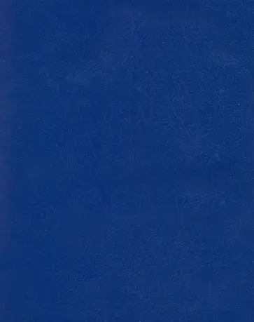 Тетрадь Бумвинил Синий, 96 листов, клетка обложка книги