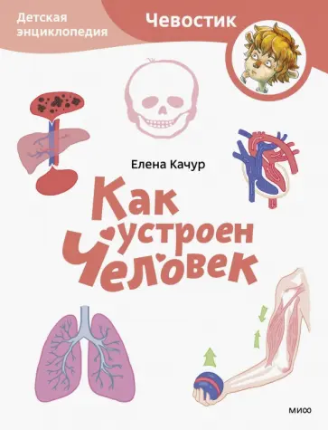 Елена Качур - Как устроен человек. Детская энциклопедия обложка книги