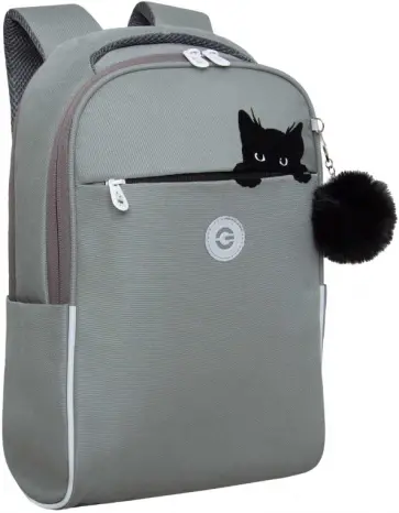 Рюкзак школьный, серый Рюкзак школьный, серый обложка книги