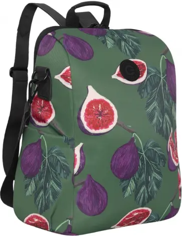 Рюкзак Инжир Рюкзак Инжир обложка книги